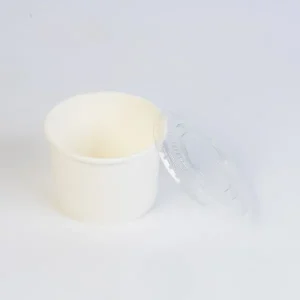 Tô giấy 480ml