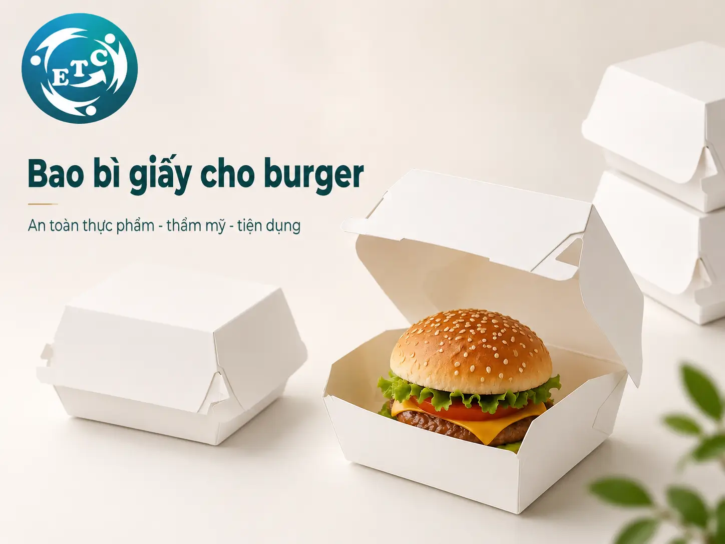 Hộp giấy đựng hamburger